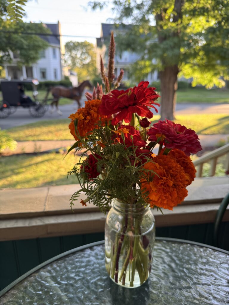 Vibrant bouquet of red and orange flowers in a jar on a table, with a horse and buggy passing by in a sunny neighborhood.